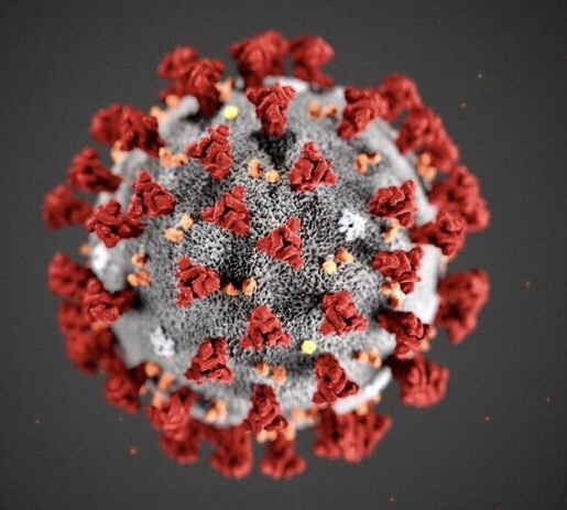 Aprendizajes & Desafíos